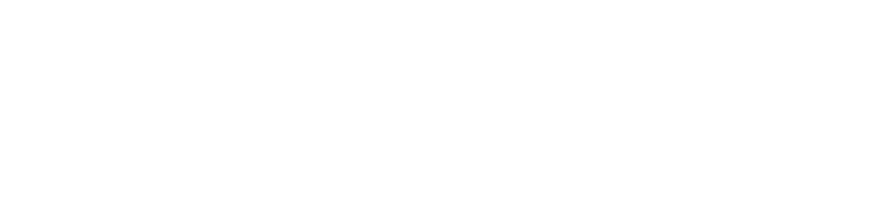 Berggruen Holdings